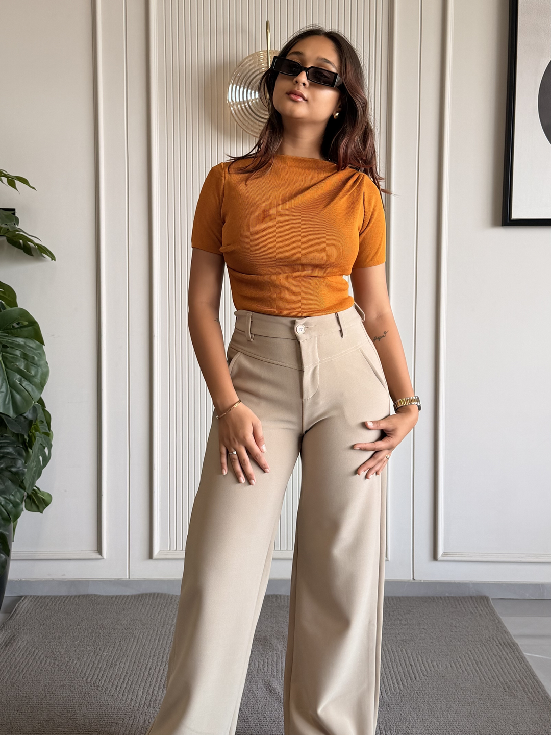 Boat Neck Body Hugging Top